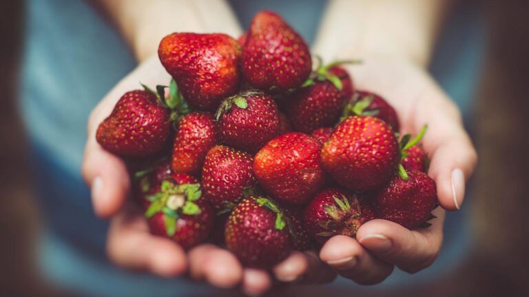The Health Benefits of Strawberries